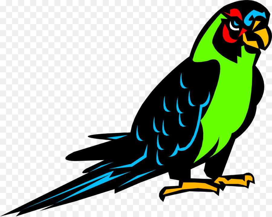 Pájaro，Loro PNG