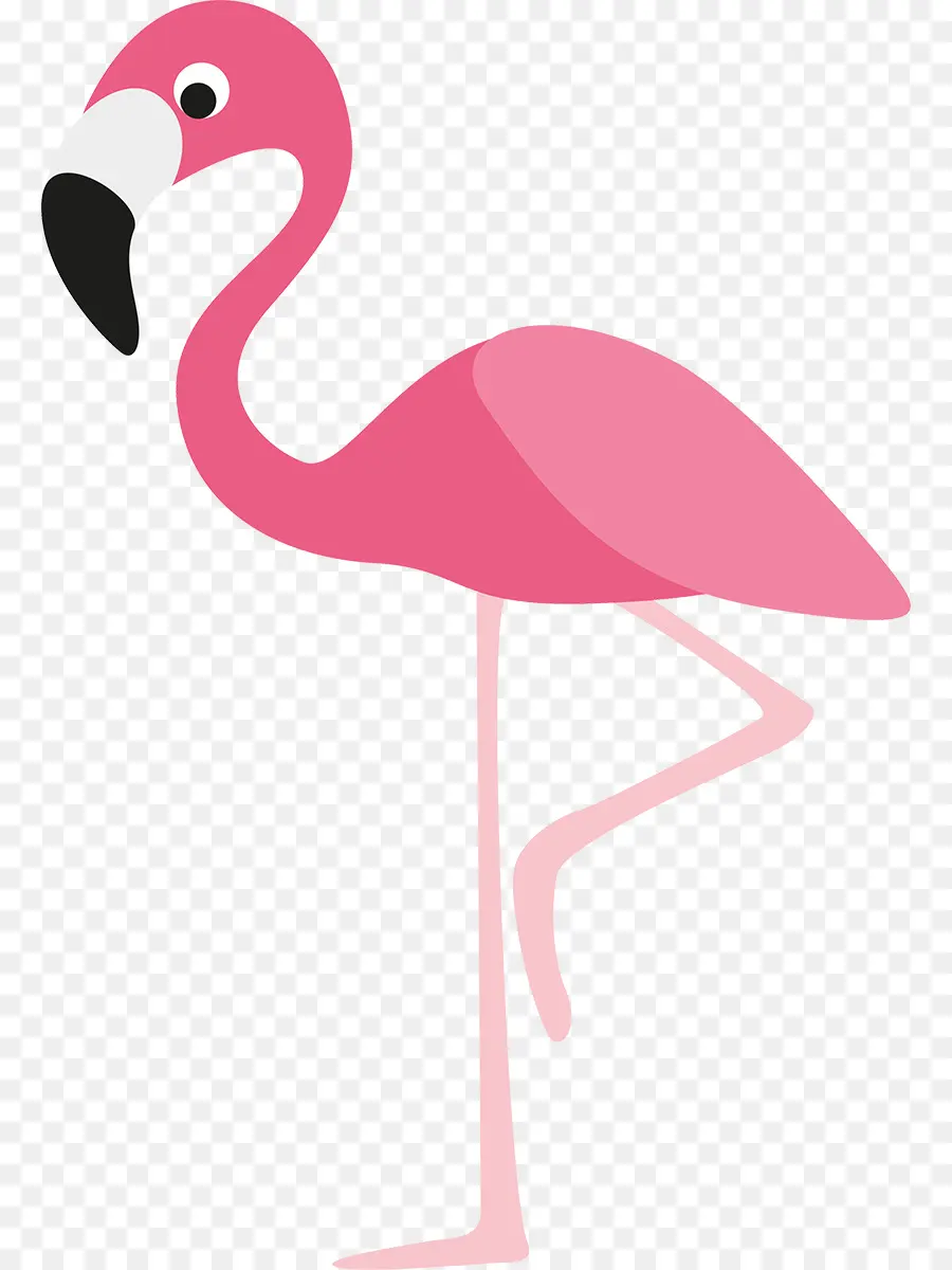 Flamingo，De Dibujos Animados PNG