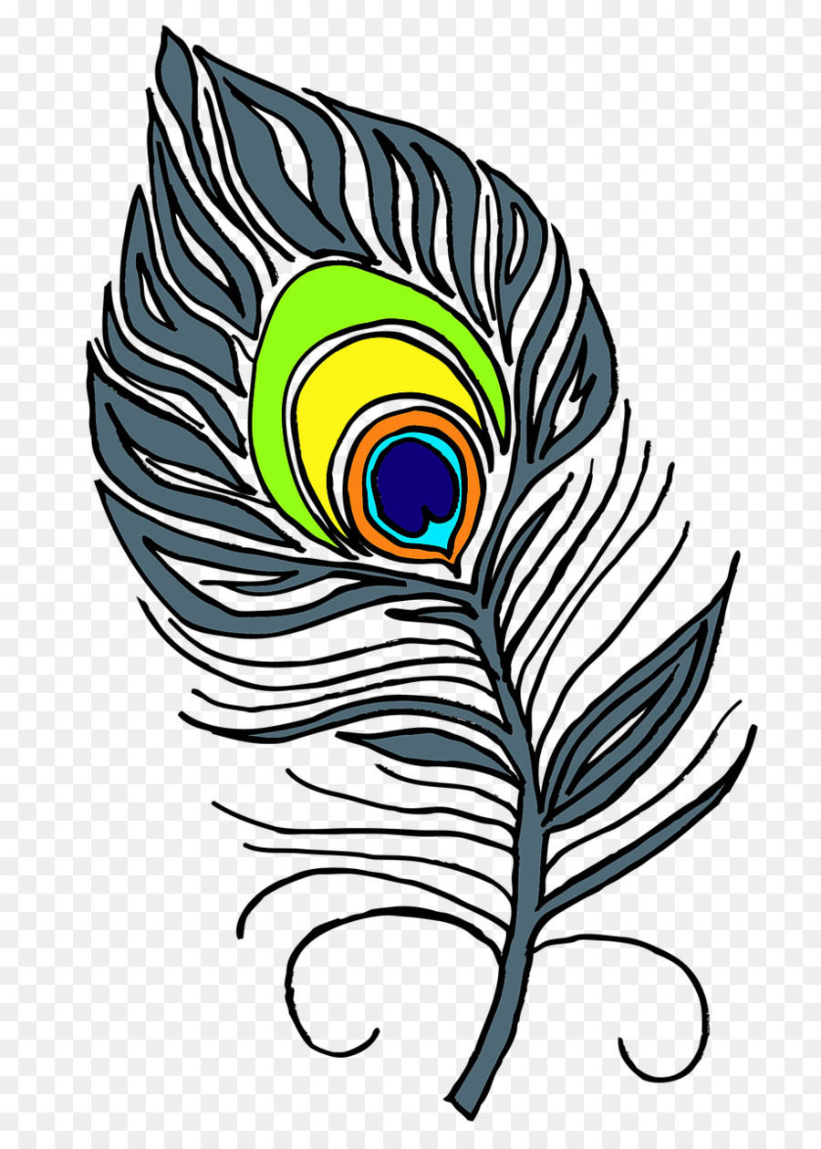 Pluma，Pavo Real PNG