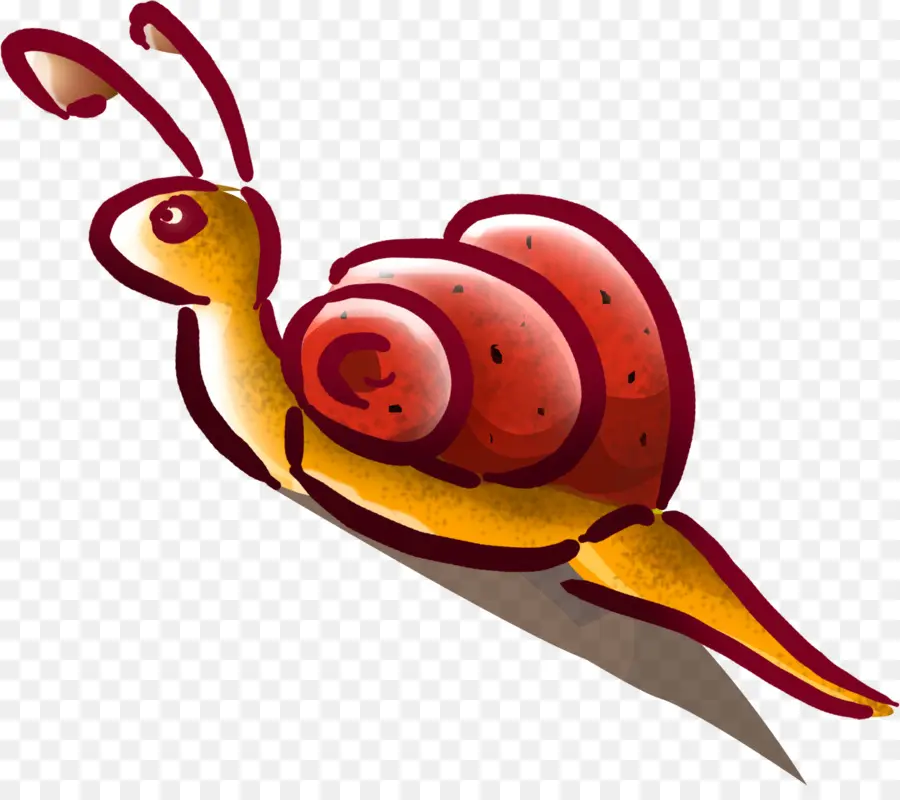 Caracol Colorido，Caparazón PNG