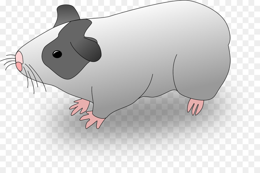 Conejillo De Indias，Mascota PNG