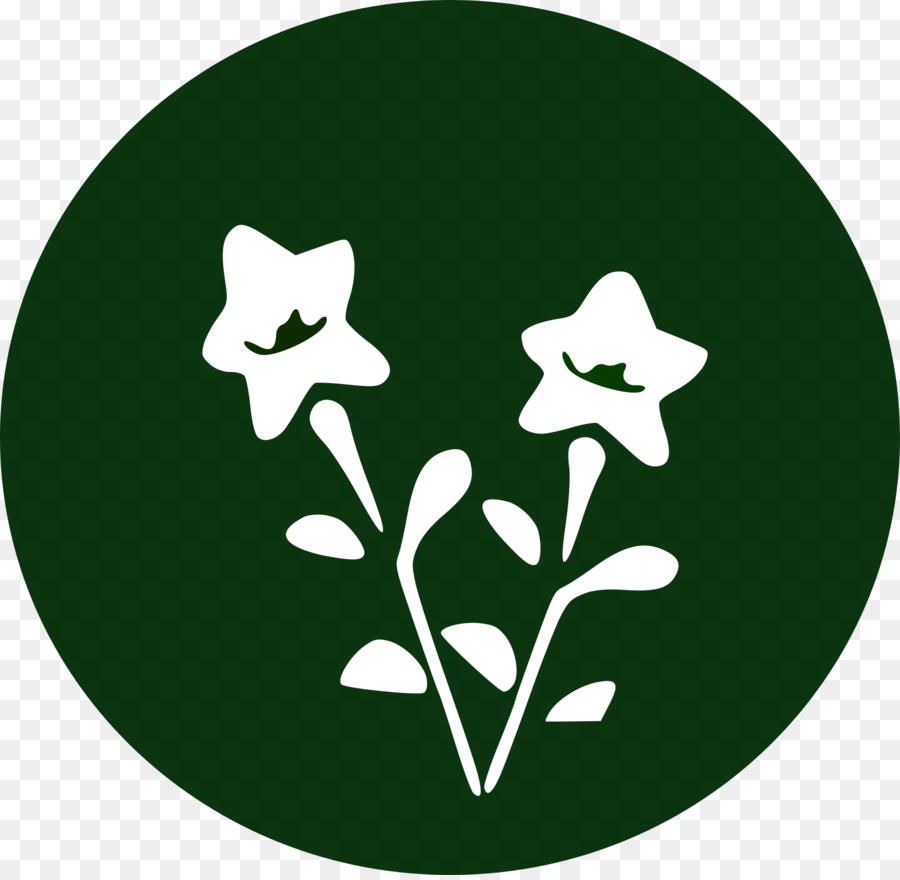 Bellflowers，Platycodon PNG