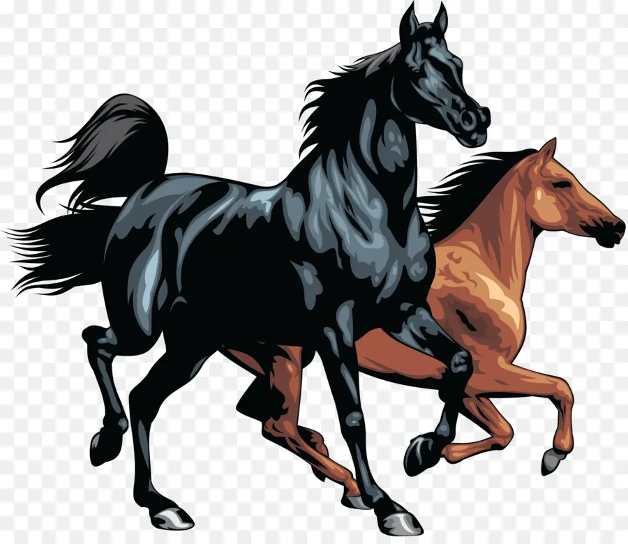 Caballos Corriendo，Animales PNG