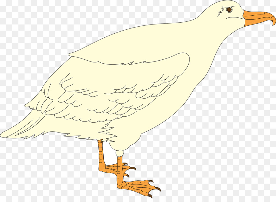 Pájaro De Dibujos Animados，Vuelo PNG