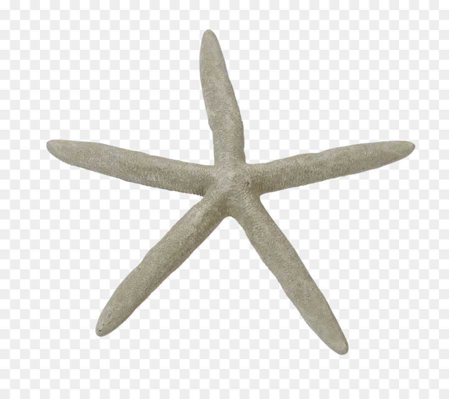 Estrella De Mar，Mar PNG