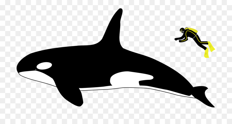 Orca，Buzo PNG