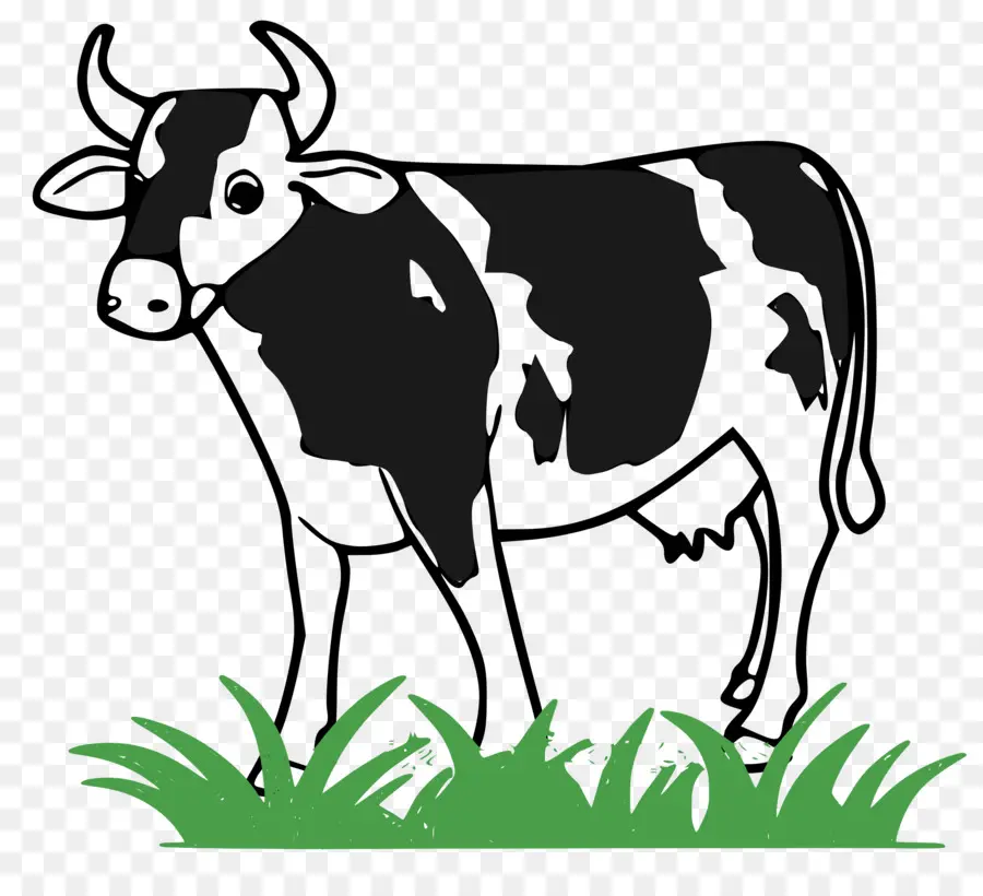 Ganado Holstein Friesian，La Leche PNG