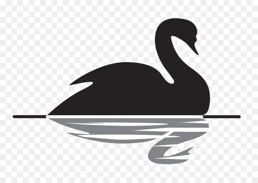 Cisne Negro El Impacto De Lo Altamente Improbable，Antifragile PNG