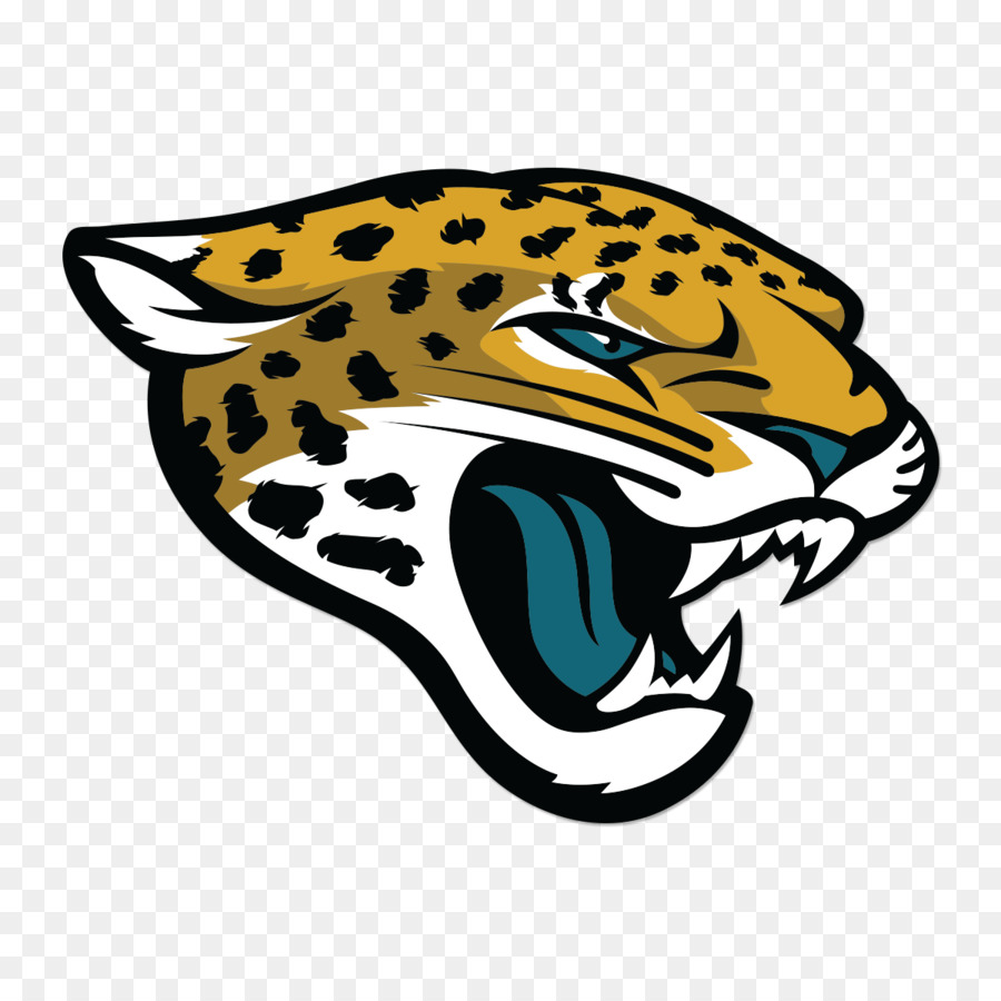 Jaguares De Jacksonville，Campo Everbank PNG