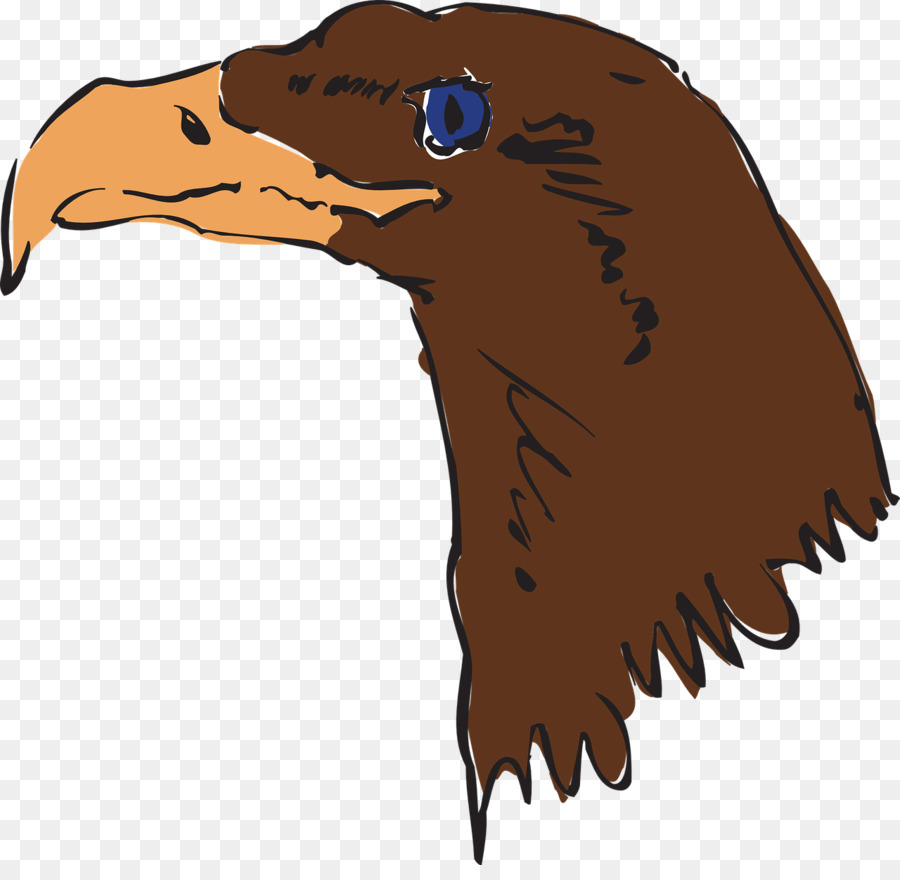 Pájaro，águila Calva PNG