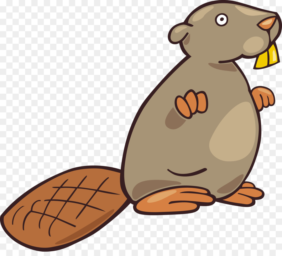 Beaver，Dibujo PNG