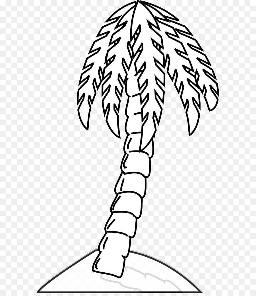 Arecaceae，árbol PNG