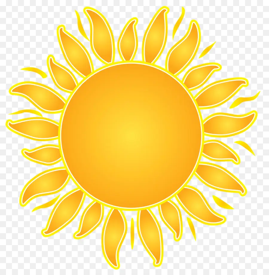 Girasol，Amarillo PNG