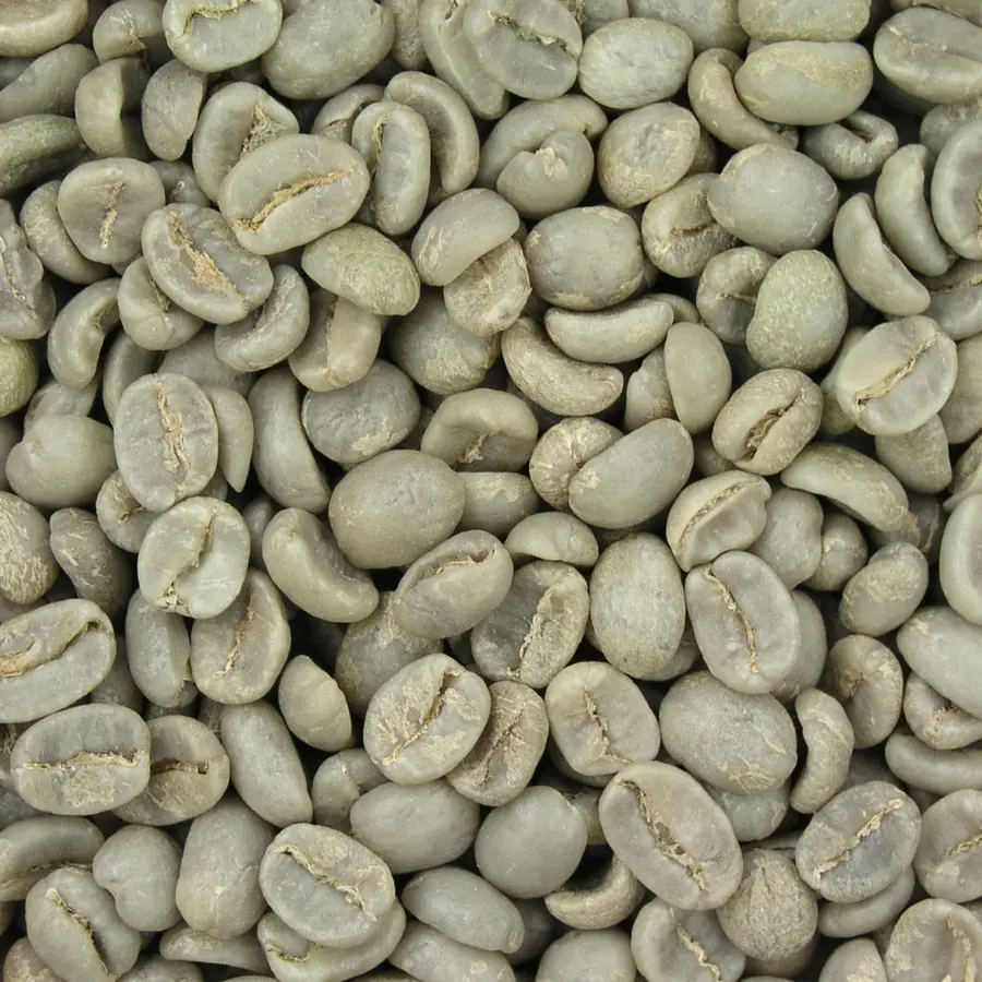 Granos De Café Verdes，Café PNG