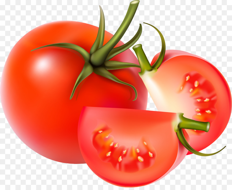 Blue Tomato，Tomatosphere PNG