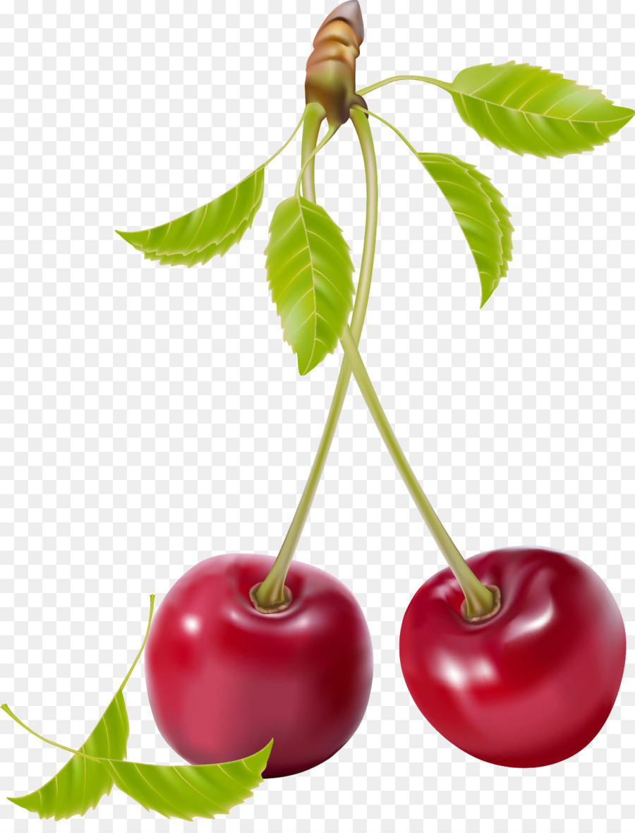 Cerezas Rojas，Hojas PNG