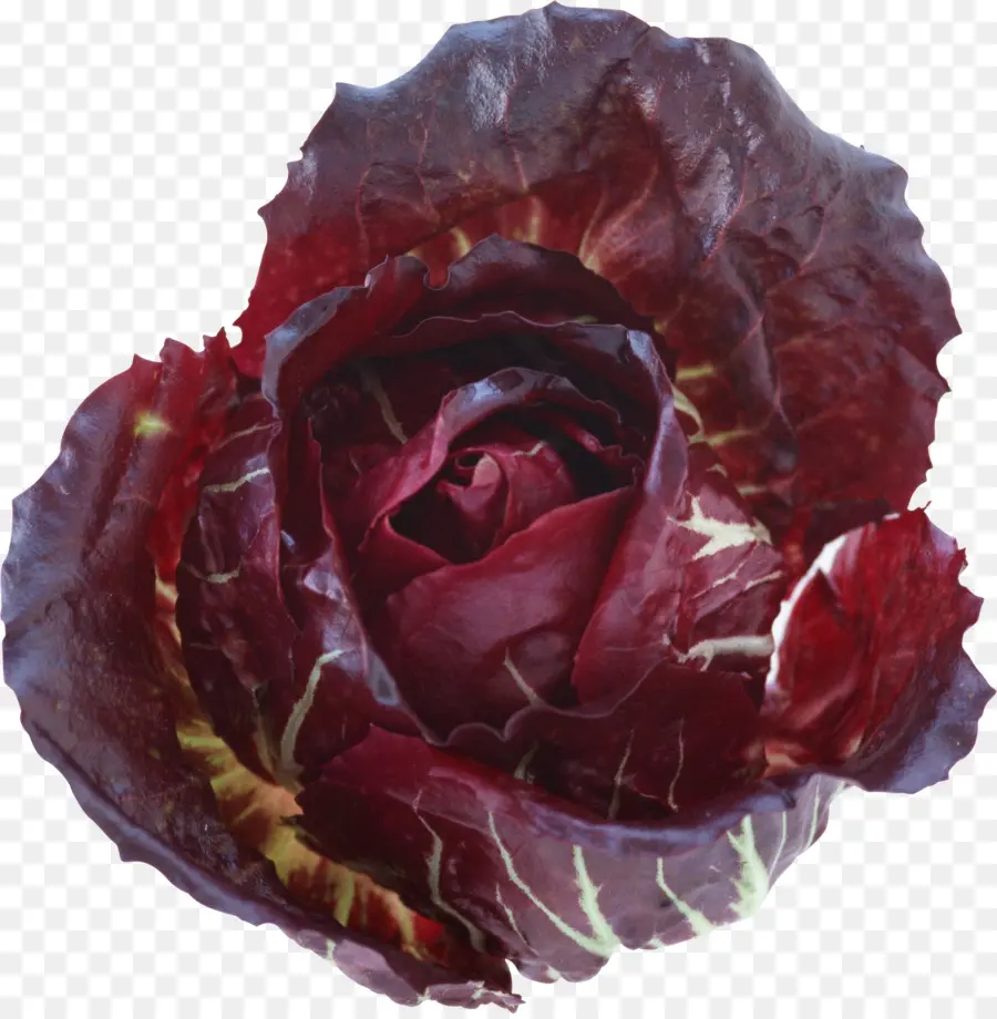 Brócoli，Coliflor PNG