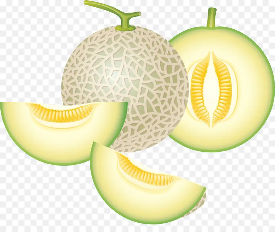 Melón，Rebanadas PNG