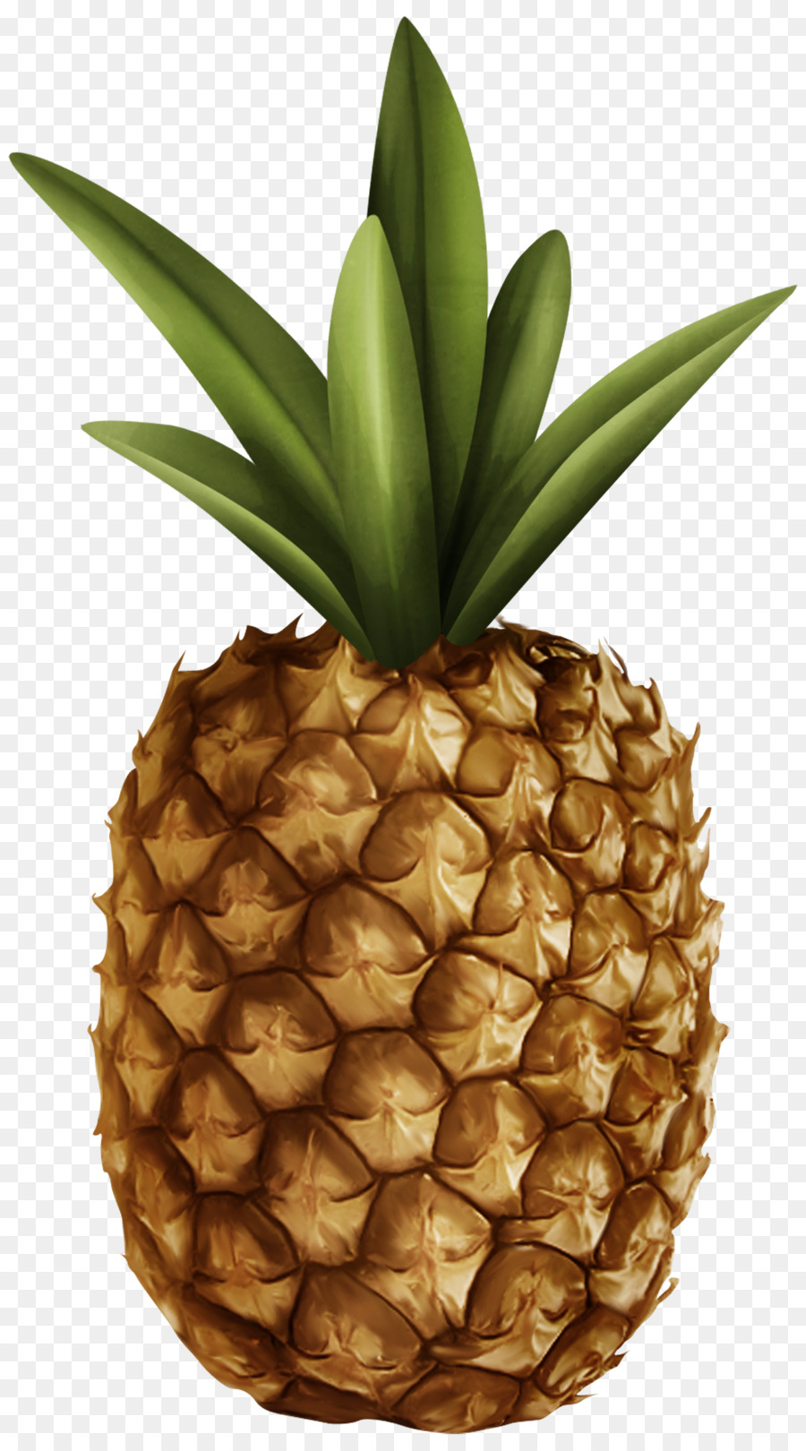 Piña Azul，Fruta PNG