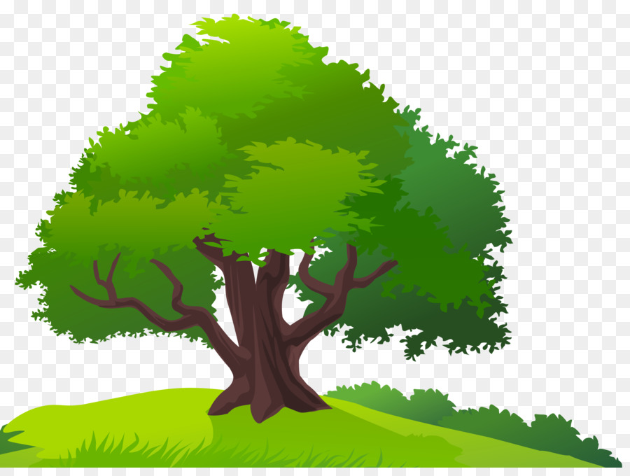 árbol，Iconos De Equipo PNG