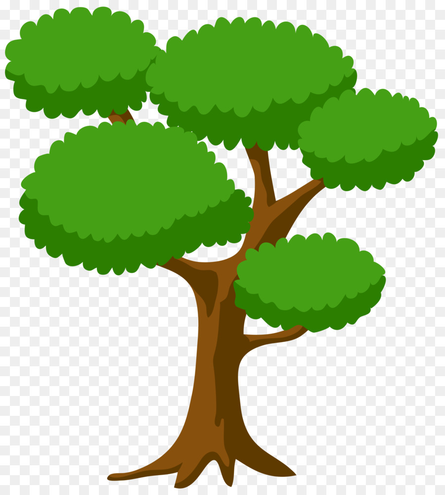 árbol，Fondo De Escritorio PNG