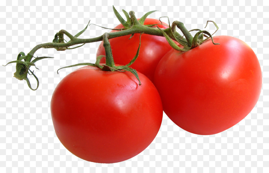 Jardín Botánico De Chicago，Tomate PNG