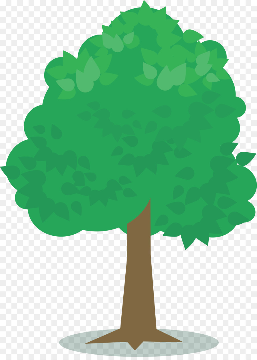 Árbol，Verde PNG