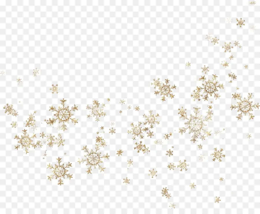 Copo De Nieve，La Navidad PNG