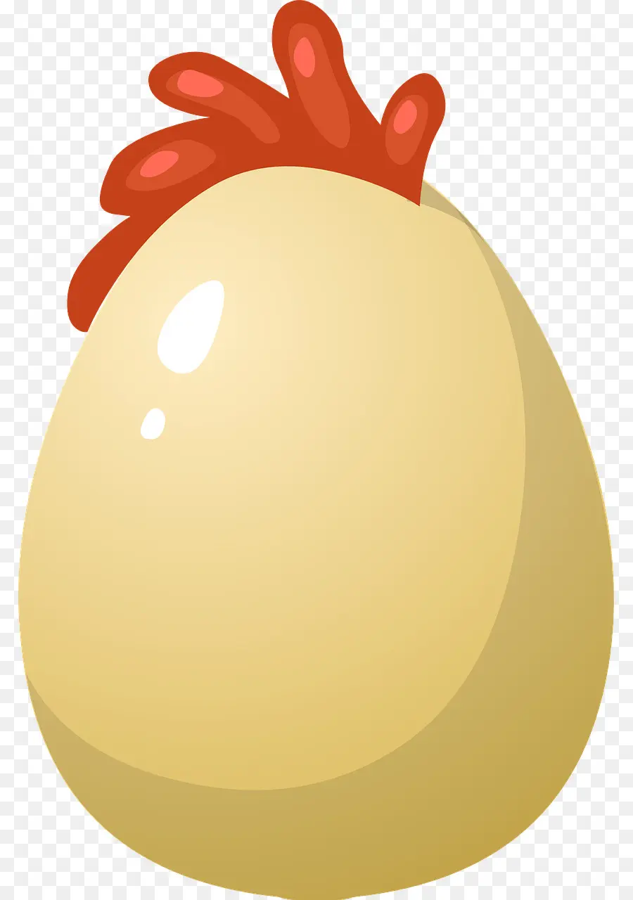 Pollo，Huevo Frito PNG