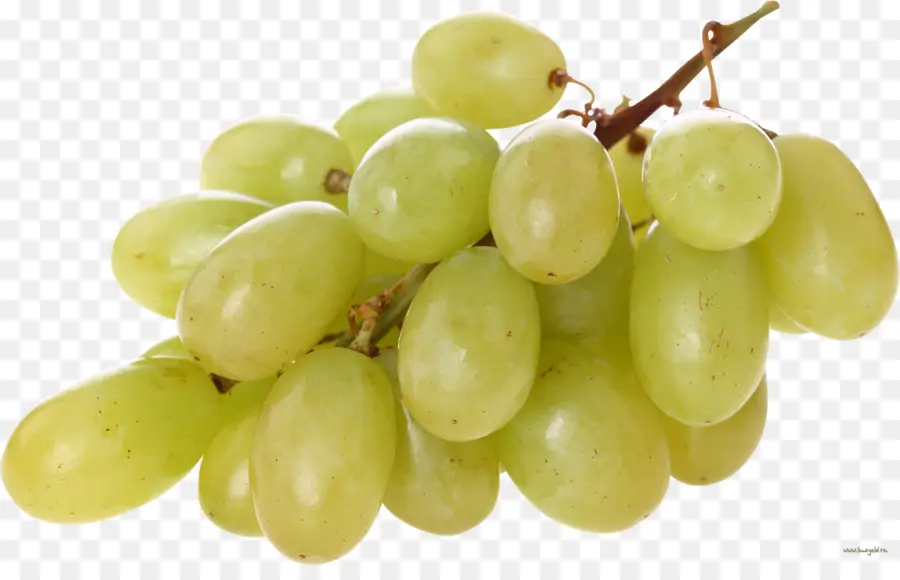 Común De La Uva De La Vid，Vino PNG