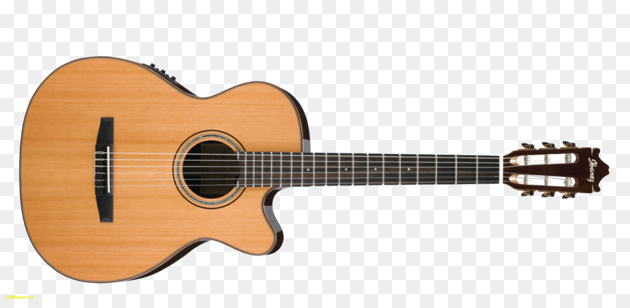 Guitarra，Instrumentos De Cuerda PNG