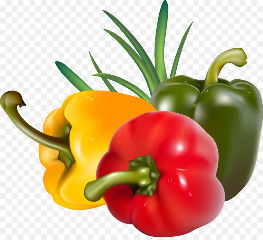 Capsicum，Pimiento PNG