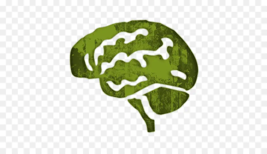 Cerebro Verde，Cerebro PNG