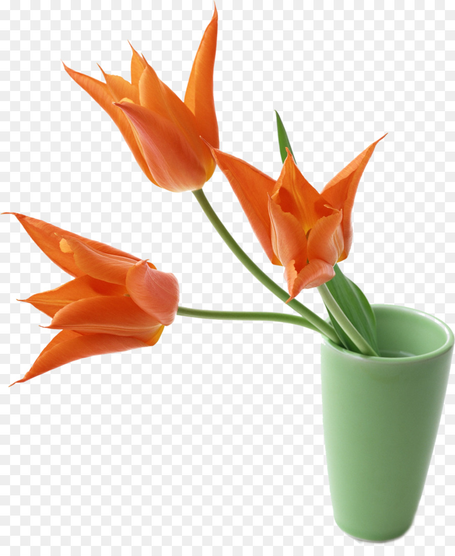 Flores，Florero PNG