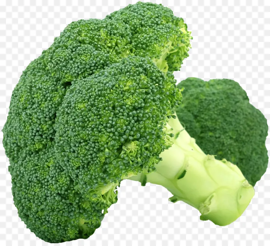 Brócoli，Vegetal PNG