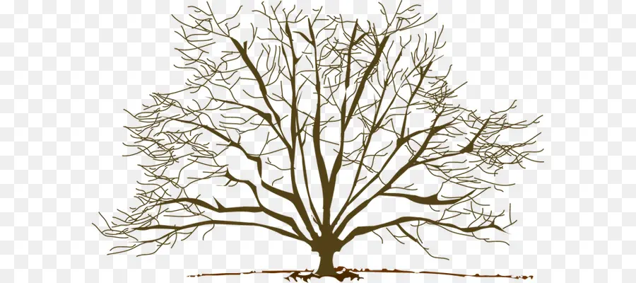 árbol，Invierno PNG