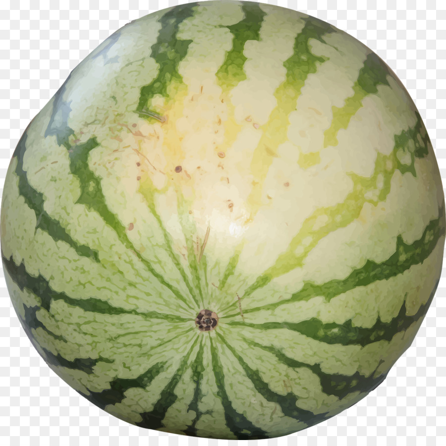 Sandía，Melón PNG