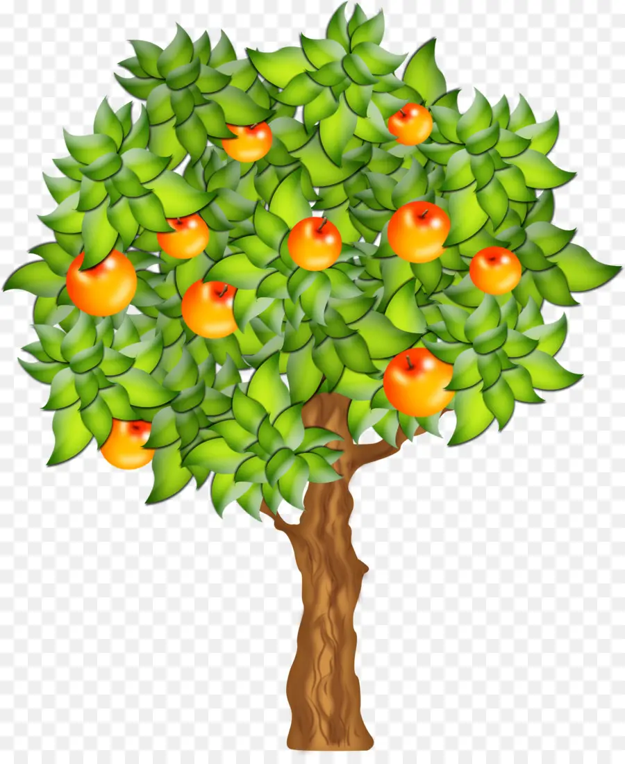 árbol Frutal，Naranjas PNG