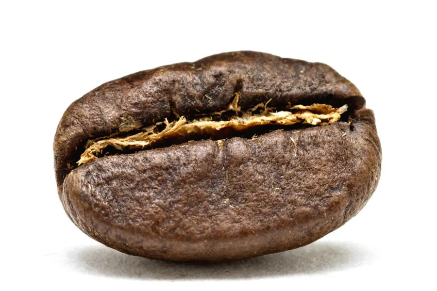 Grano De Café，Café PNG