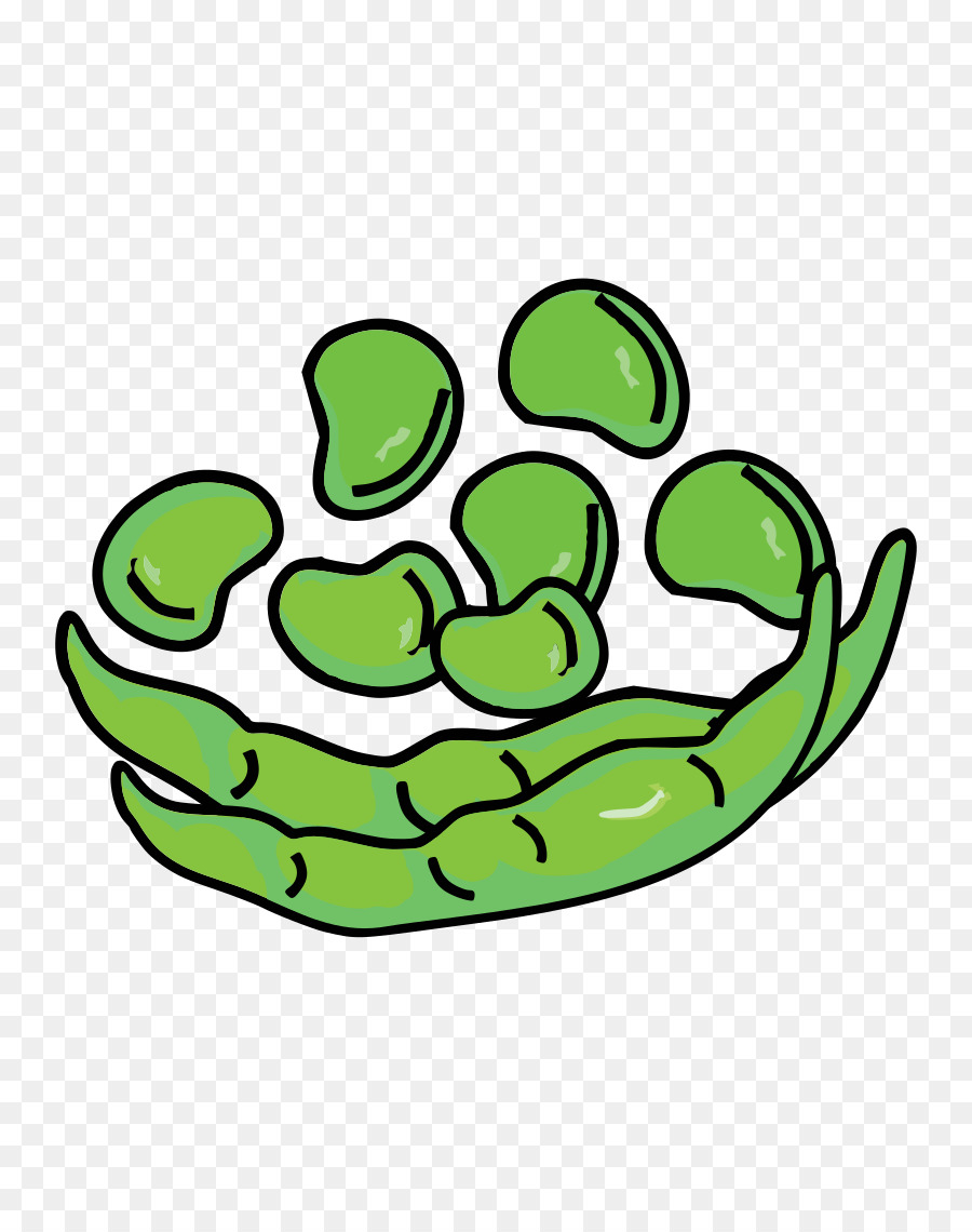 Frijol Pinto，Tortuga Negra Bean PNG