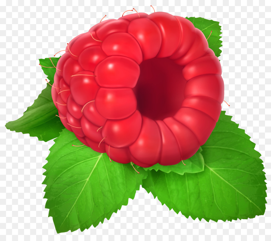 Frambuesa，La Fruta PNG