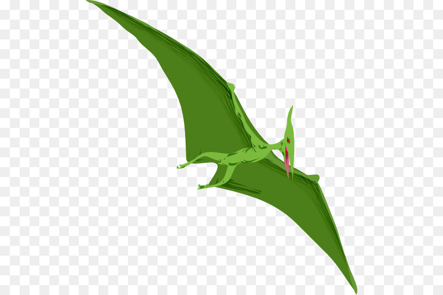 Pterodáctilo，Verde PNG