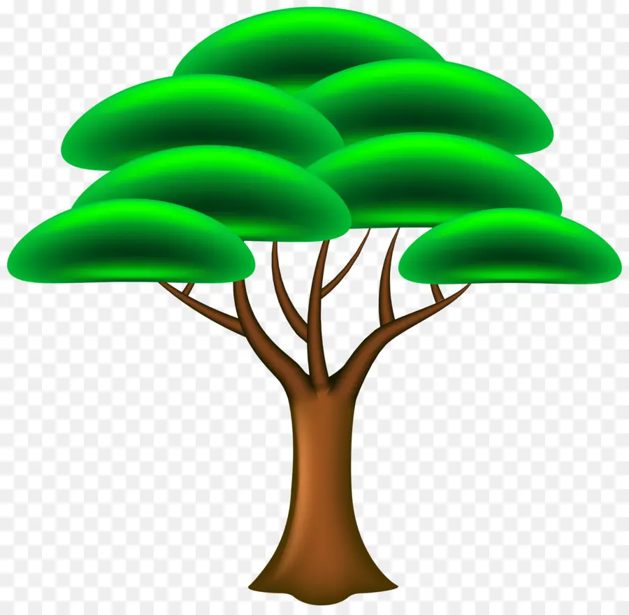 Árbol，Verde PNG