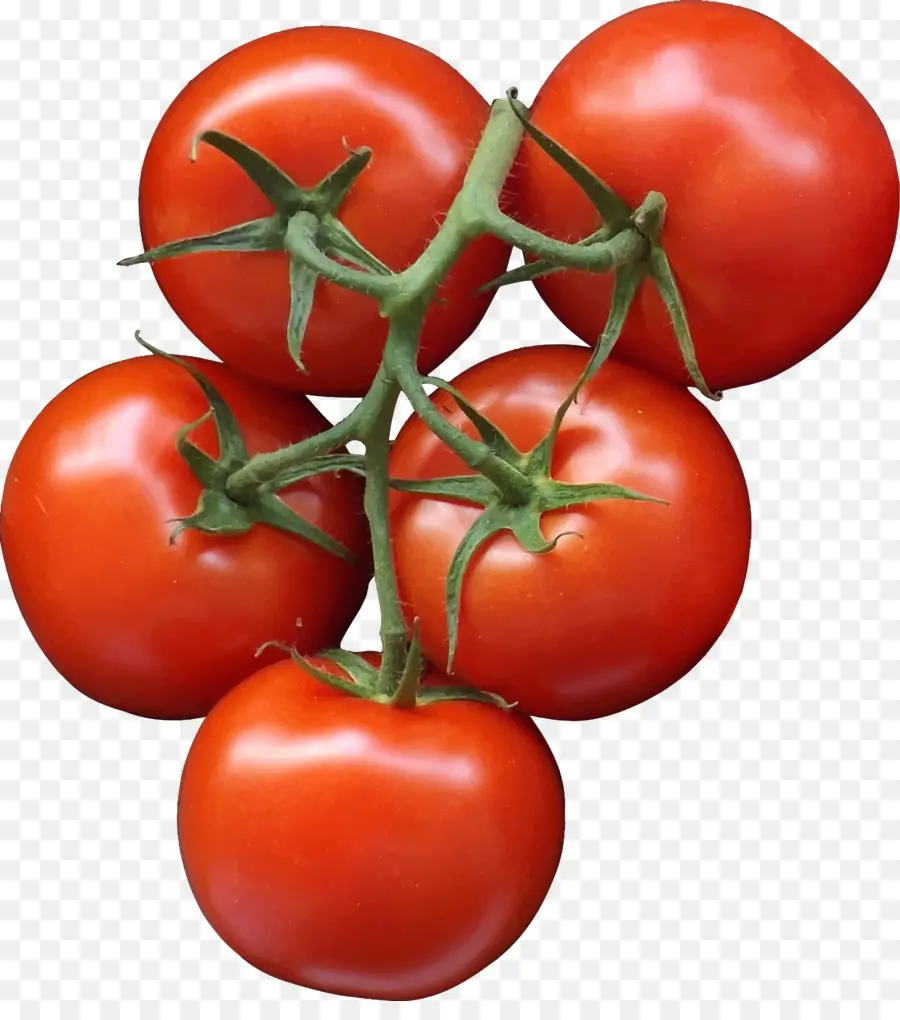 Pizza，Tomate PNG