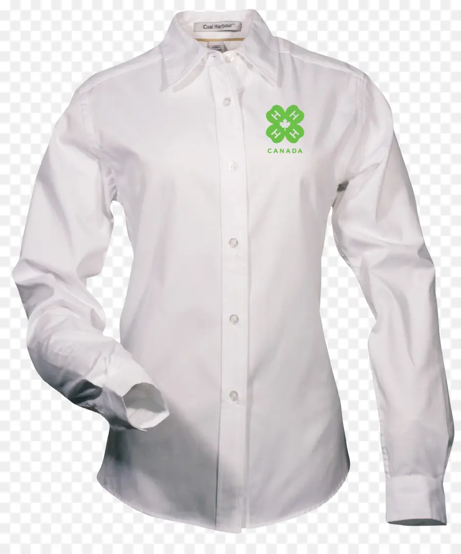 Camiseta，Camisa De Vestir PNG