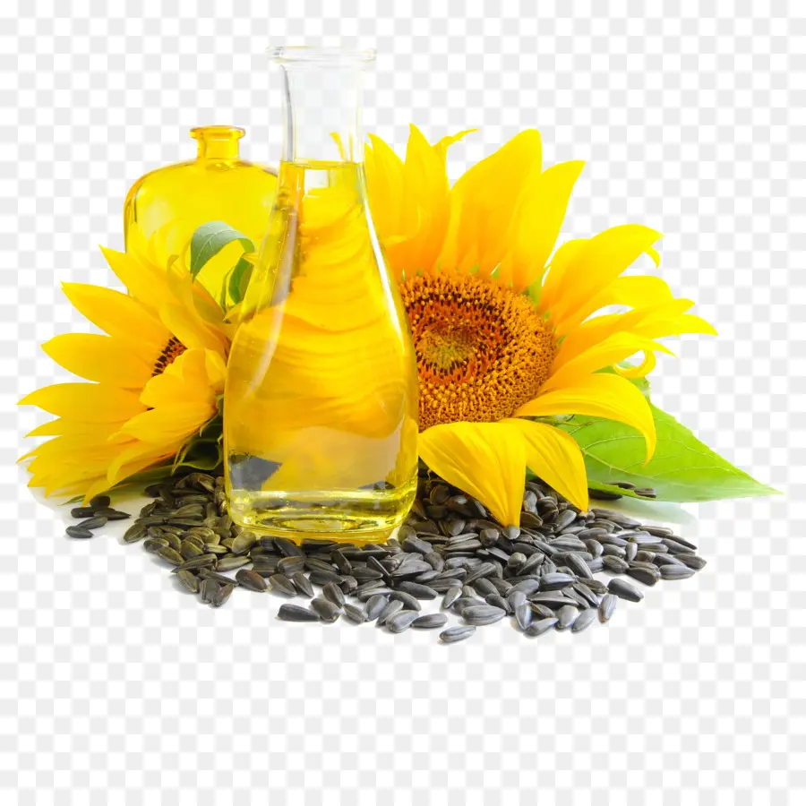 Común De Girasol，Aceite De Girasol PNG