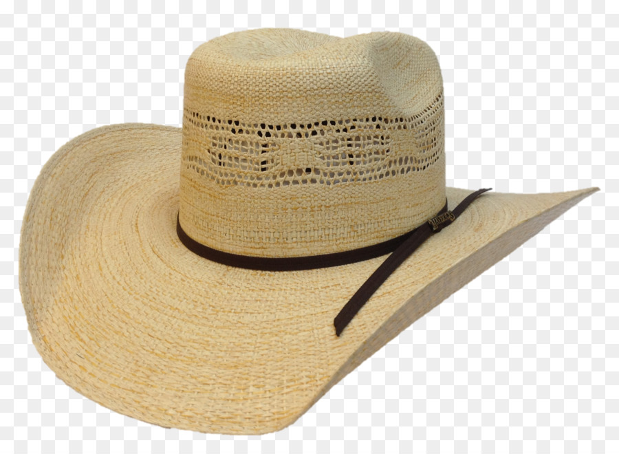 Los Mavericks De Dallas，Sombrero De Paja PNG