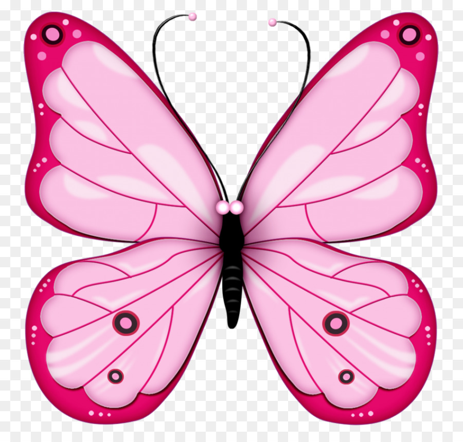 Mariposa，Rosa PNG