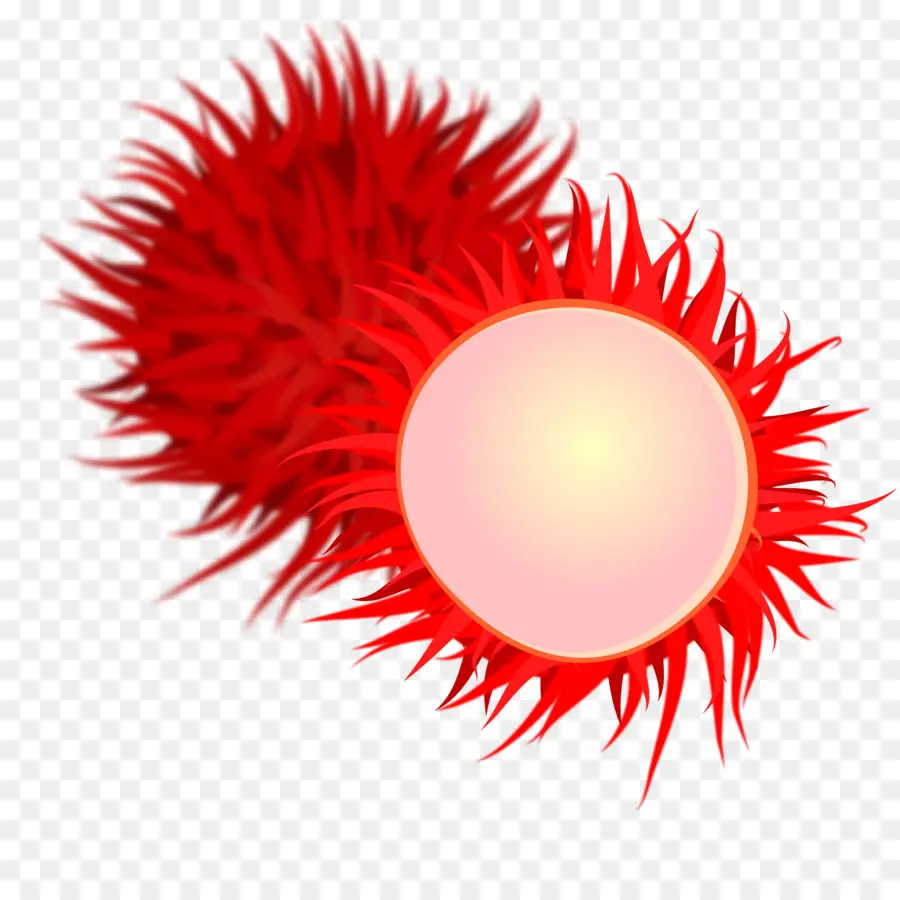 El Rambutan，La Fruta PNG