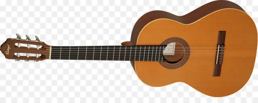 Taylor Guitars，Guitarra PNG